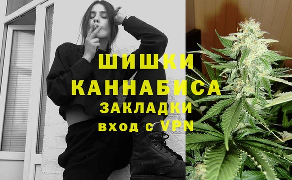 spice Богородск