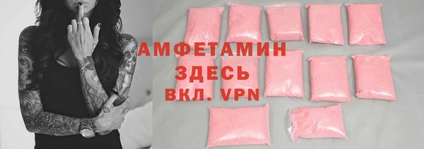 spice Богородск