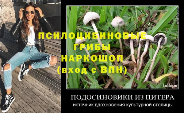 spice Богородск
