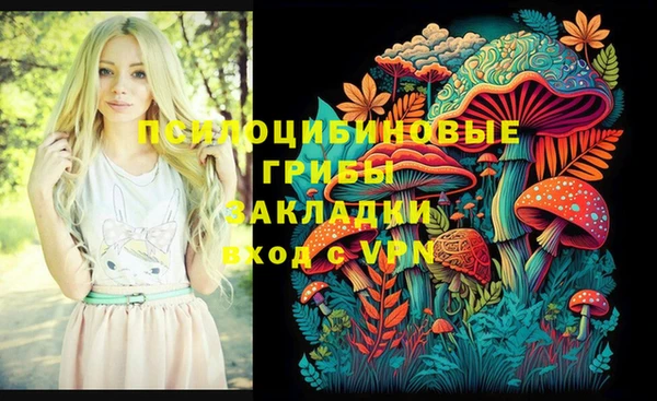 сатива Белокуриха