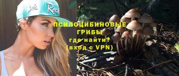 дурь Белоозёрский