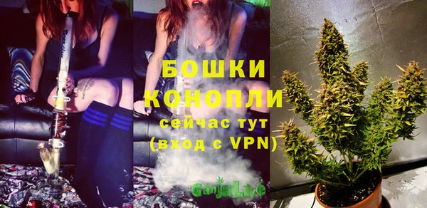 дурь Белоозёрский