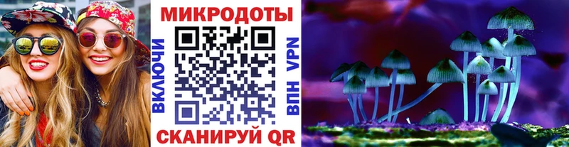 где купить   Кодинск  Псилоцибиновые грибы GOLDEN TEACHER 